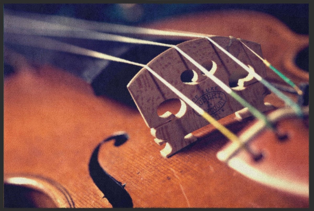 Fussmatte Violine 6134