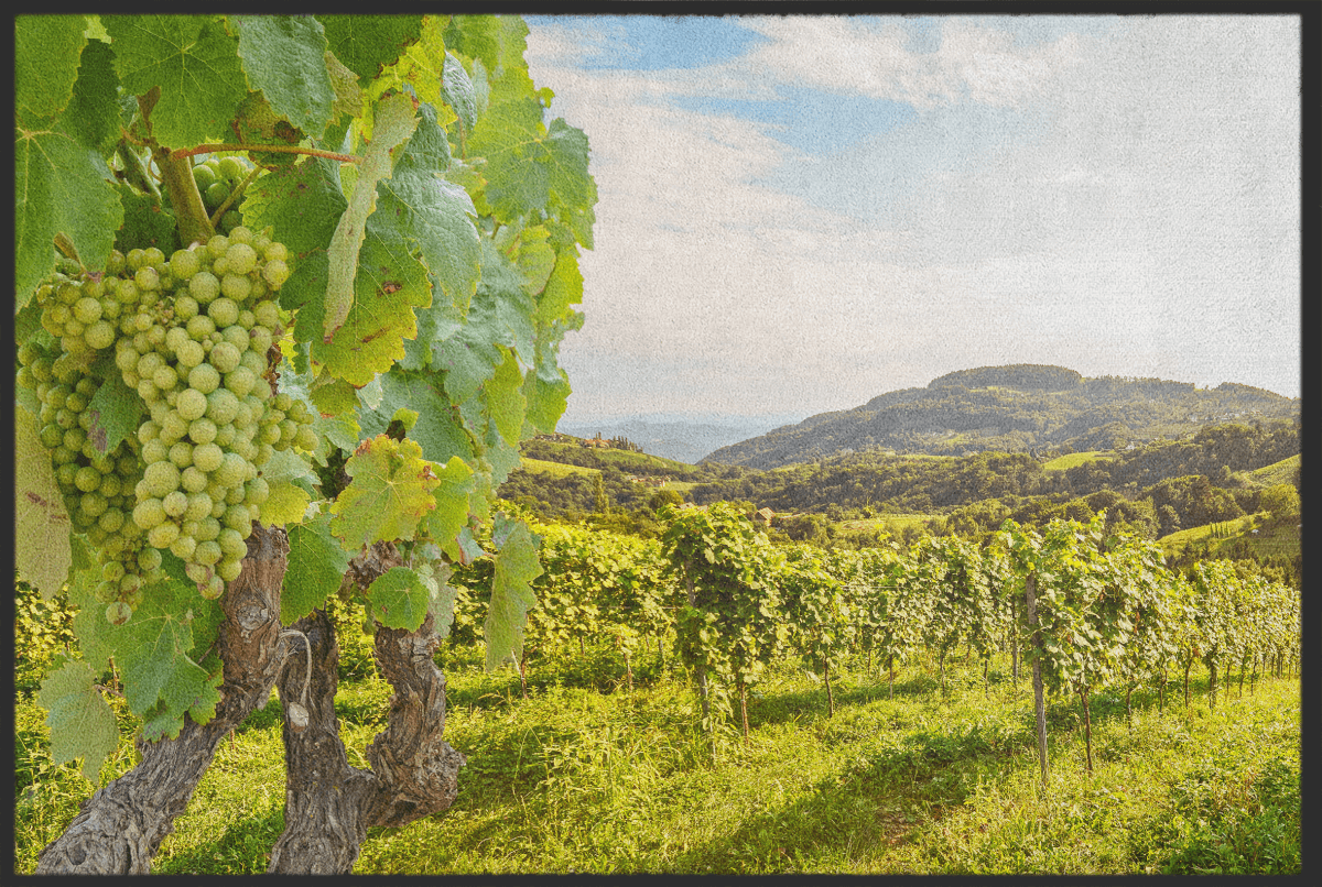 Fussmatte Weinrebe 10414