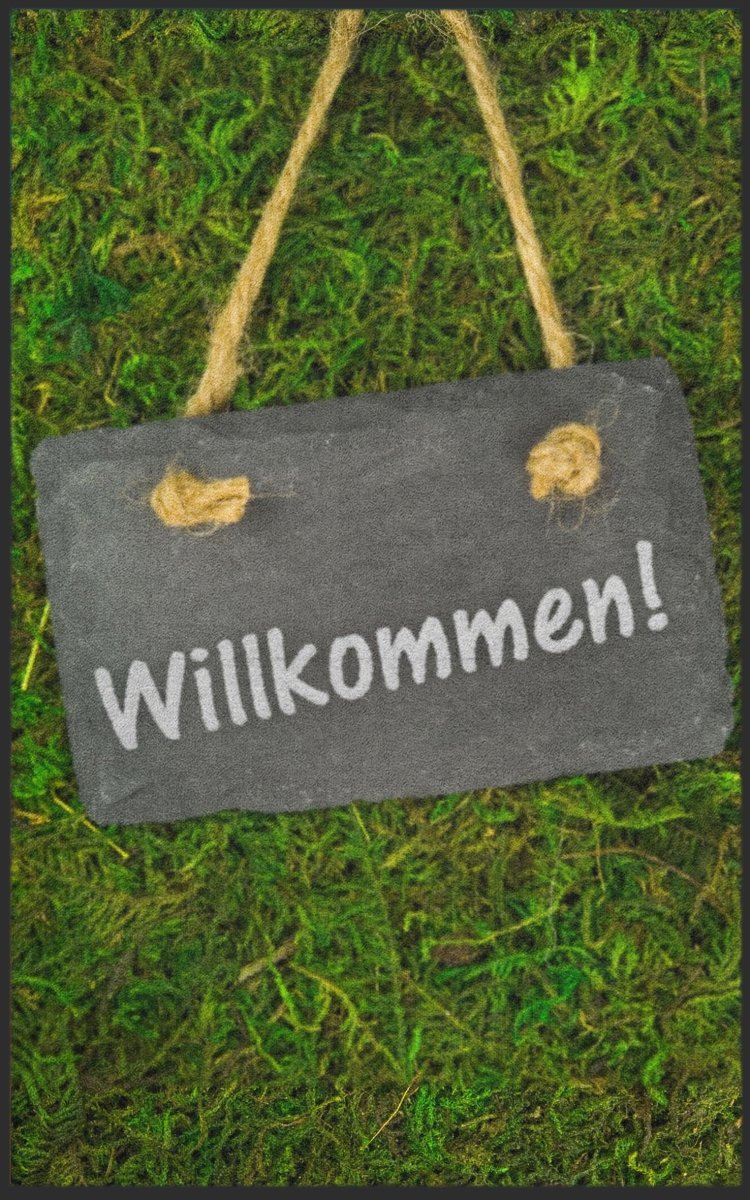 Fussmatte Willkommen 7013
