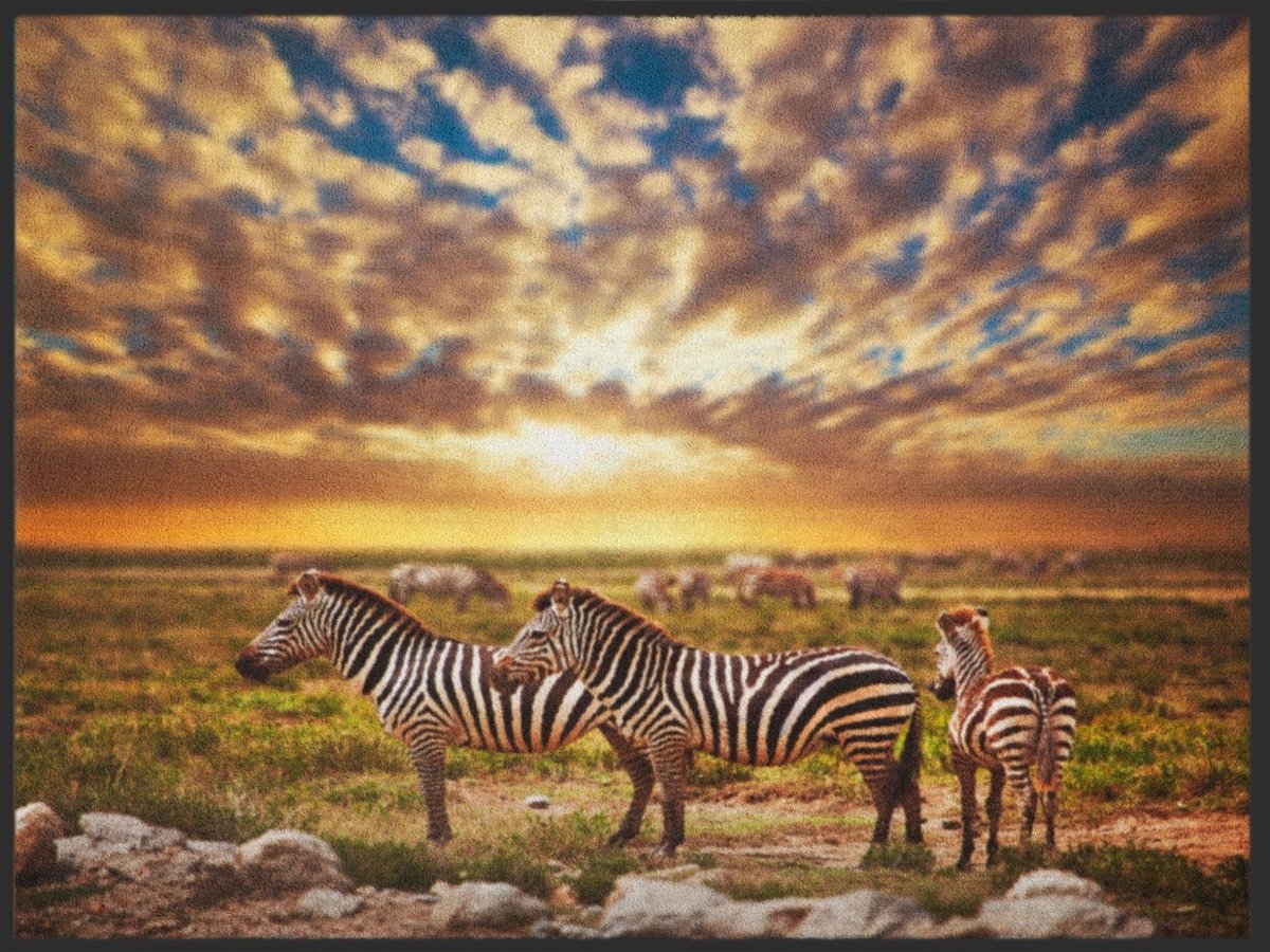 Fussmatte Zebra 4894