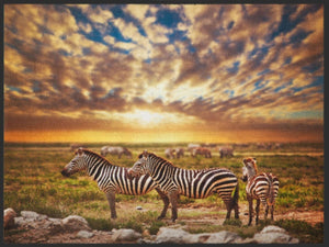 Bild in Slideshow öffnen, Fussmatte Zebra 4894 - Fussmatte Individuell
