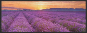 Bild in Slideshow öffnen, Küchenteppich Lavendel 4366 - Fussmatte Individuell
