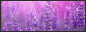 Bild in Slideshow öffnen, Küchenteppich Lavendel 4436 - Fussmatte Individuell
